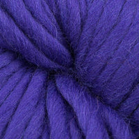 Blueberry (9464)