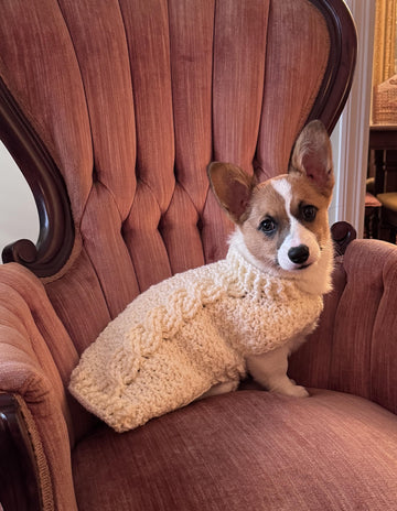 Cable Crochet Dog Sweater