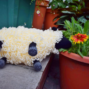 Sharon the Sheep
