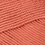 Scampi (00427)