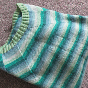 Simple Raglan Sweater