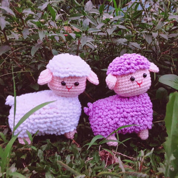 SHEEP -SENSO