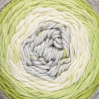 Lichen (1071-05)
