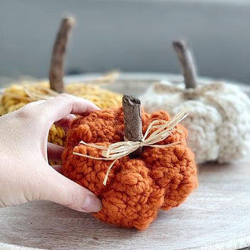 067 The Knobby Little Pumpkin