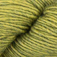 Olive Leaf (TE260)