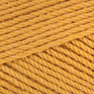 Mustard (3498)