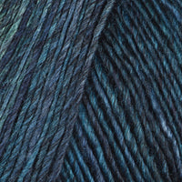 Hyacinth (6897)