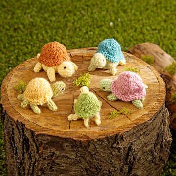 Turtle Family