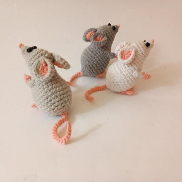 Mouse