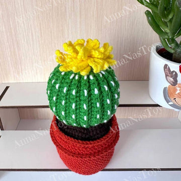 Cactus in a pot_5