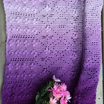 Dragonfly Hide n Seek Shawl