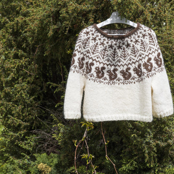 SQUIRREL Icelandic Lopapeysa Sweater for Adults and Kids