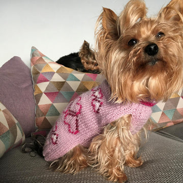 Dog Sweater with Hearts