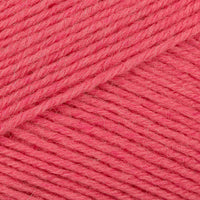 Zinnia (6623)