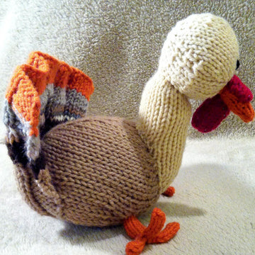 Leftover Turkey