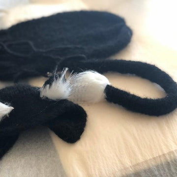 Black cat