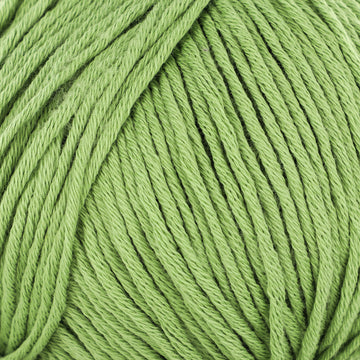 Grass (135)
