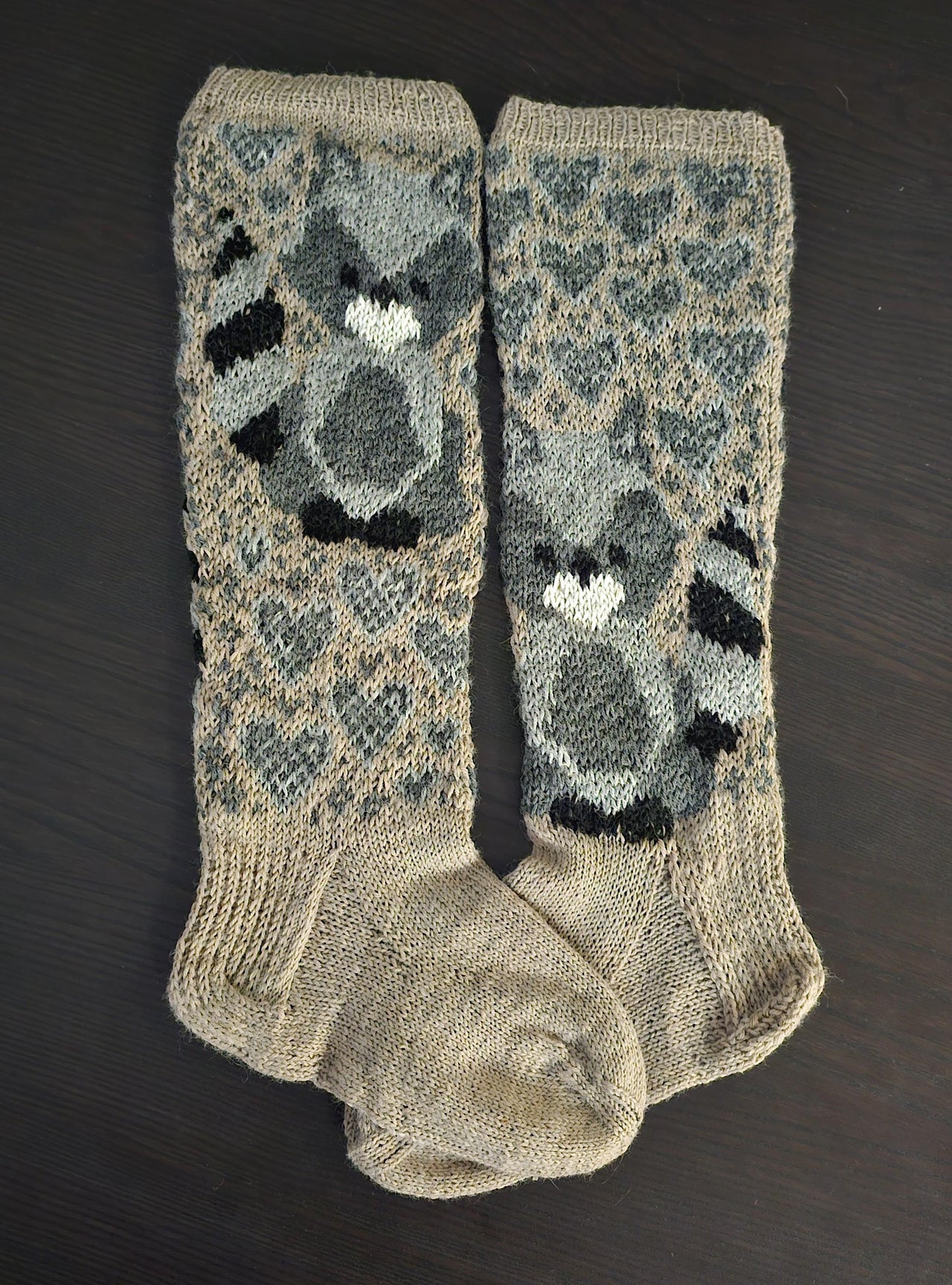 Raccoon Socks