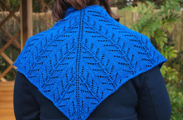 Moth Shawl