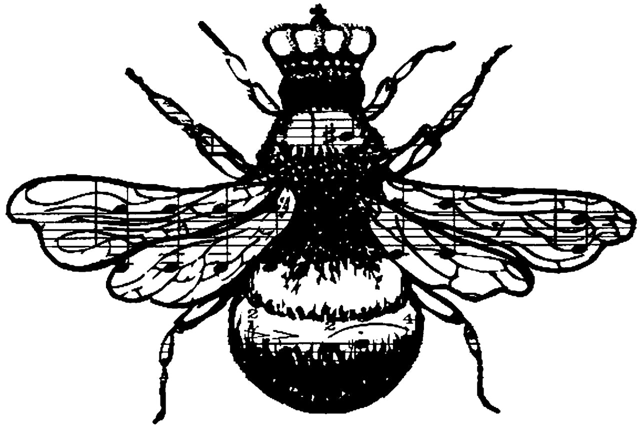 Stampers Anonymous Donna Salazar Cling Stamps 4"X3" - Queen Bee