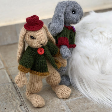 Bunny with Jacket