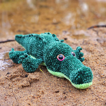 Alligator