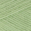Dill (1509)