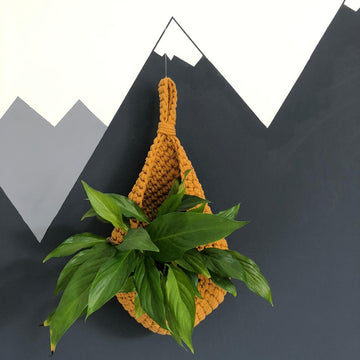 Teardrop Hanging Basket