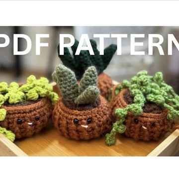 Sassy Succulents