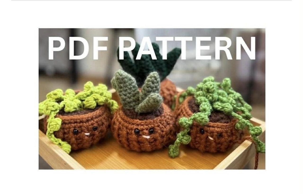Sassy Succulents