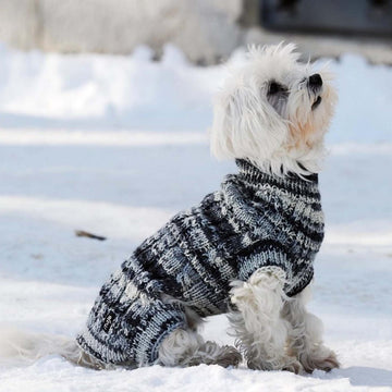 Dog Sweater TOPY FOUR LEGS
