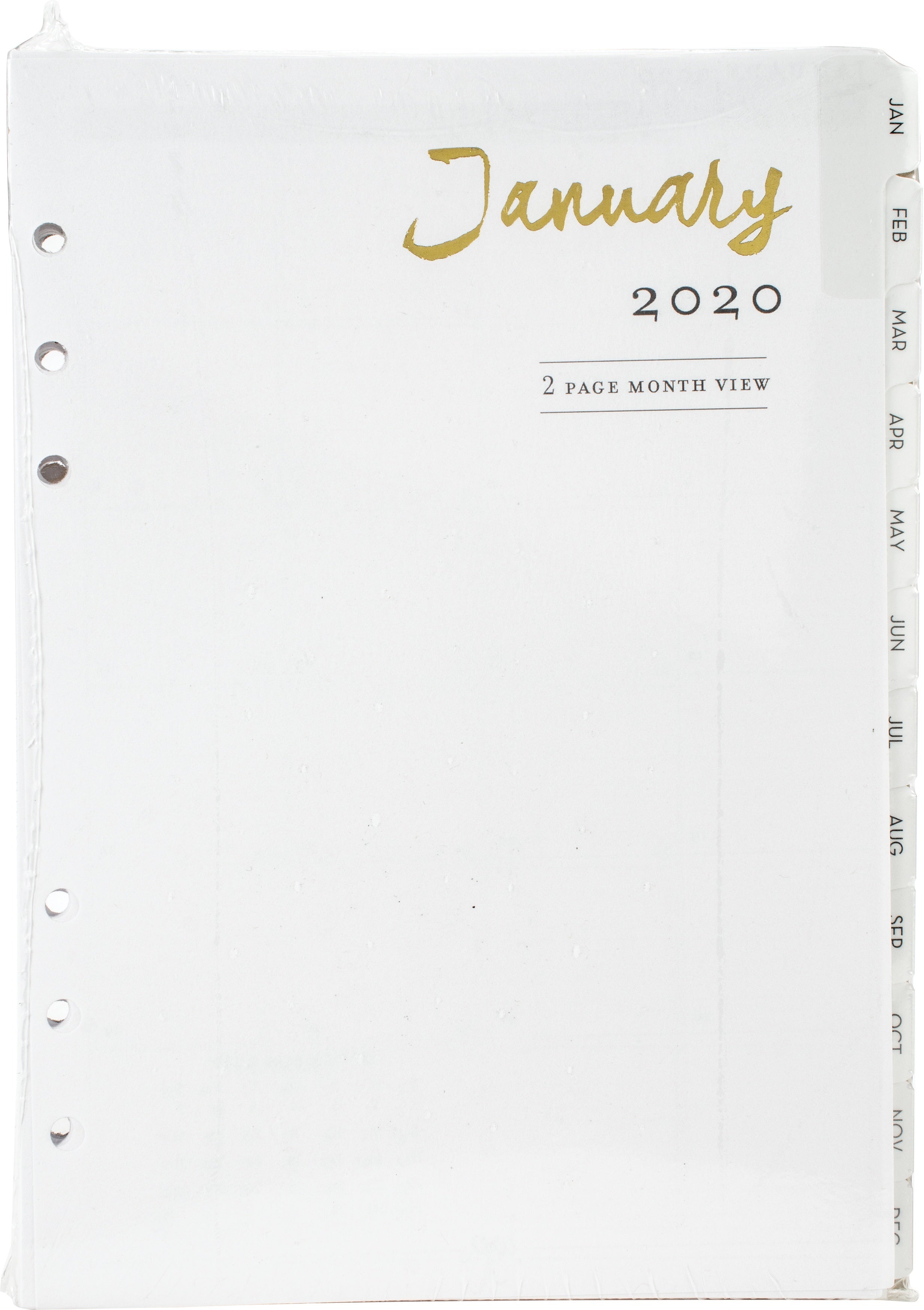 Webster's Pages A5 Planner 12-Month Calendar Insert - 2020