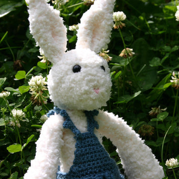 BunBun the Cuddly Rabbit