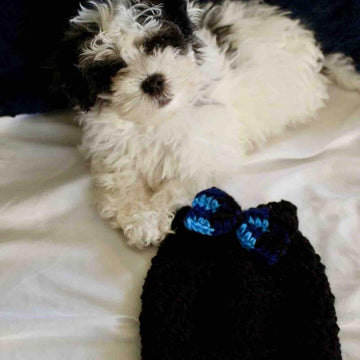 Quick and Easy Puppy Sweater