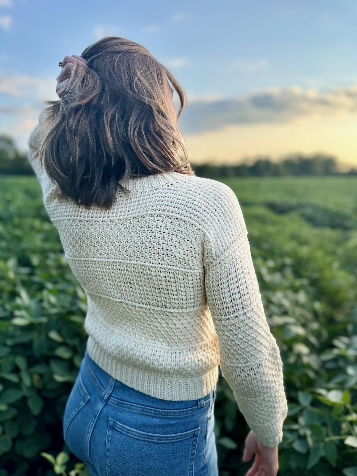 Indecision Sampler Sweater