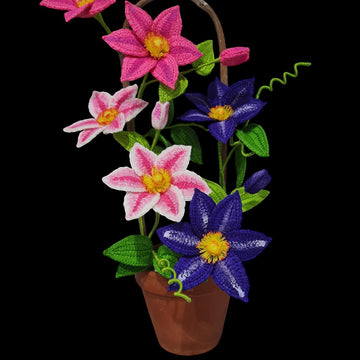 Crochet Clematis flowers