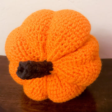 Autumn Pumpkin
