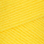 Bright Yellow (0324)