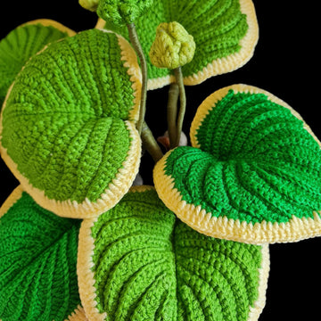 Crochet Hosta plant