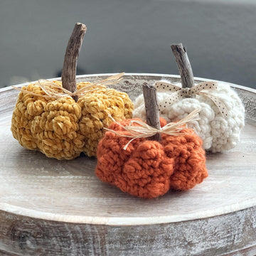 067 The Knobby Little Pumpkin