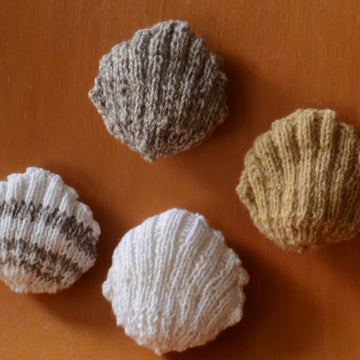 Cockle Shell