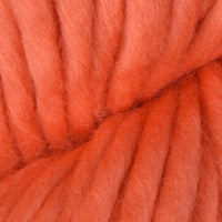 Living Coral (0078)