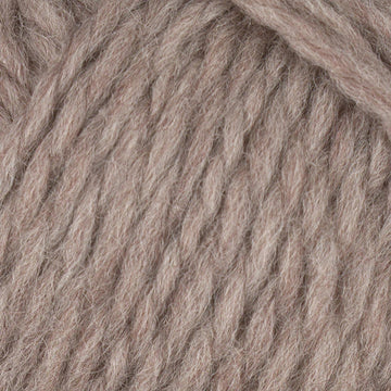 Beige (807)