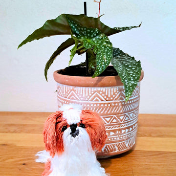 Shih Tzu Plush