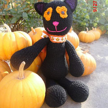Midnight the Halloween Cat