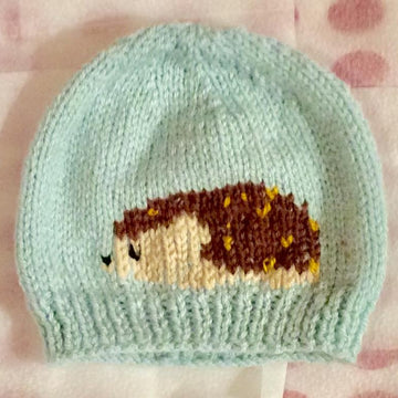 Hedgehog Sweater Set
