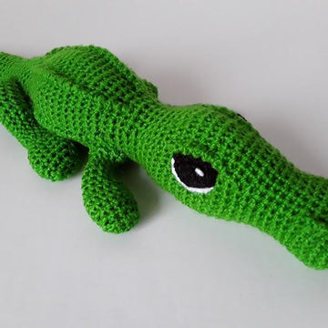 Crocodile - Alligator