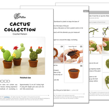 Cactus Collection