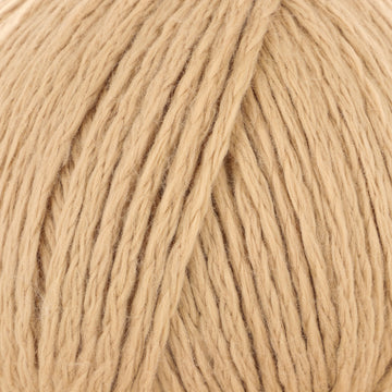 Canvas (19)