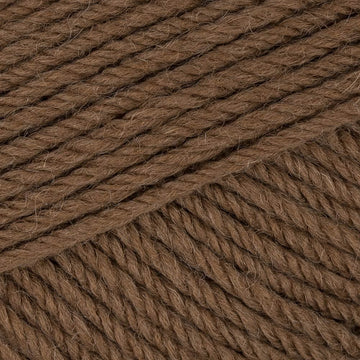 Chestnut (3089)
